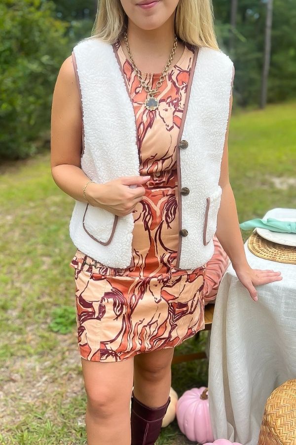 Bandit Button Down Sherpa Vest