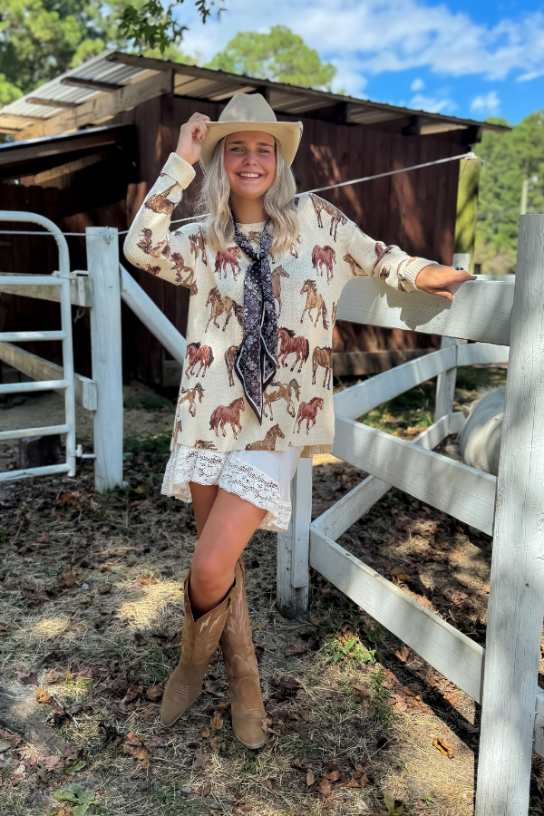 Show Me Your Mumu Wild Horses Knit Bonfire Sweater