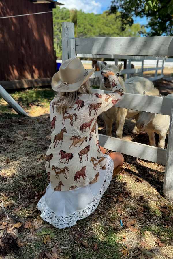 Show Me Your Mumu Wild Horses Knit Bonfire Sweater