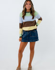 Hallie Multicolor Stripe Lightweight Knit