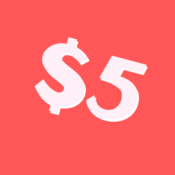 $5 boutique items warehouse sale prices