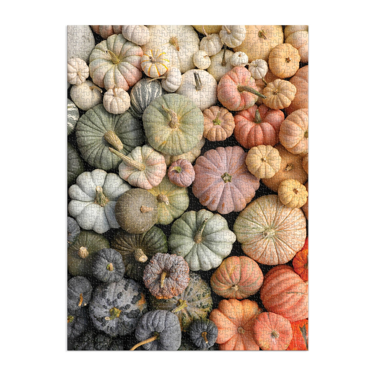 Heirloom Pumpkin 1000 Piece Puzzle