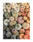 Heirloom Pumpkin 1000 Piece Puzzle