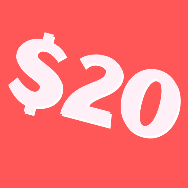 largest $20 sale of the year from boutique brands