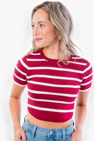 Basic Burgundy and Cream Striped Knit Crop Top-Tops-Le Lis-L. Mae Boutique & Wild Mabel Clothing