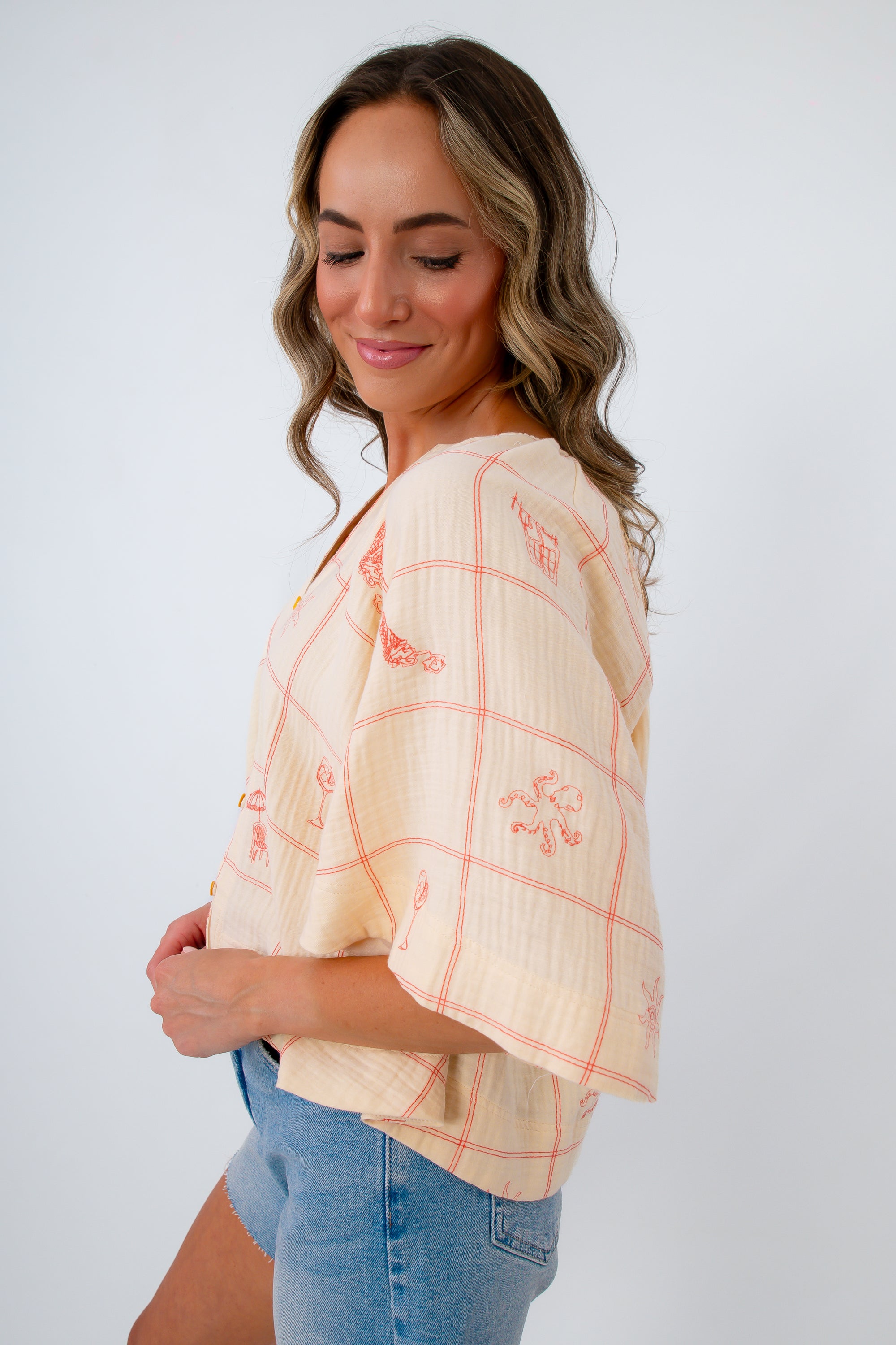 Embroidered Cotton Top