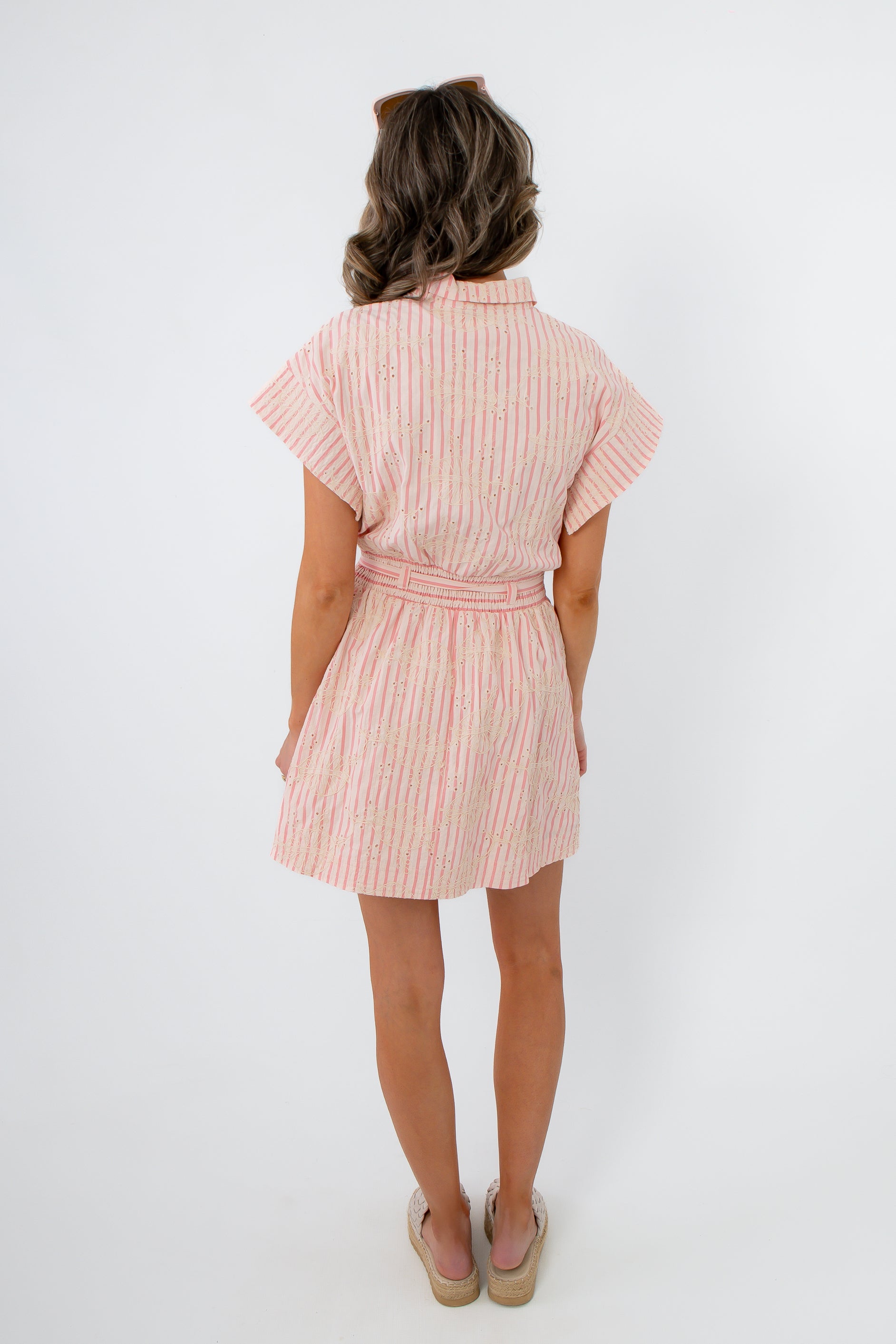 Back view of Palm Sunday Embroidered Mini Dress highlighting the design