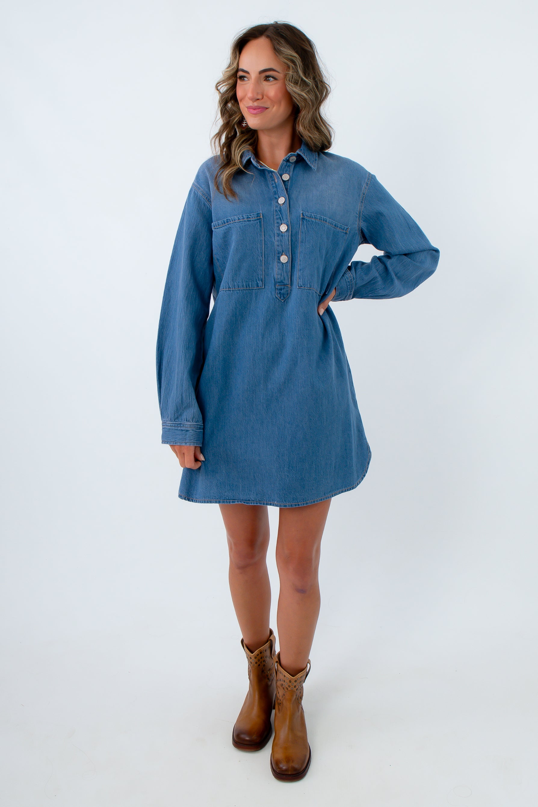 Z Supply Dreamstate Lucie Denim Dress