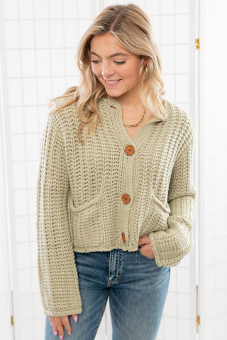 Luca Sage Chunky Cardigan Sweater-Tops-In February-L. Mae Boutique & Wild Mabel Clothing