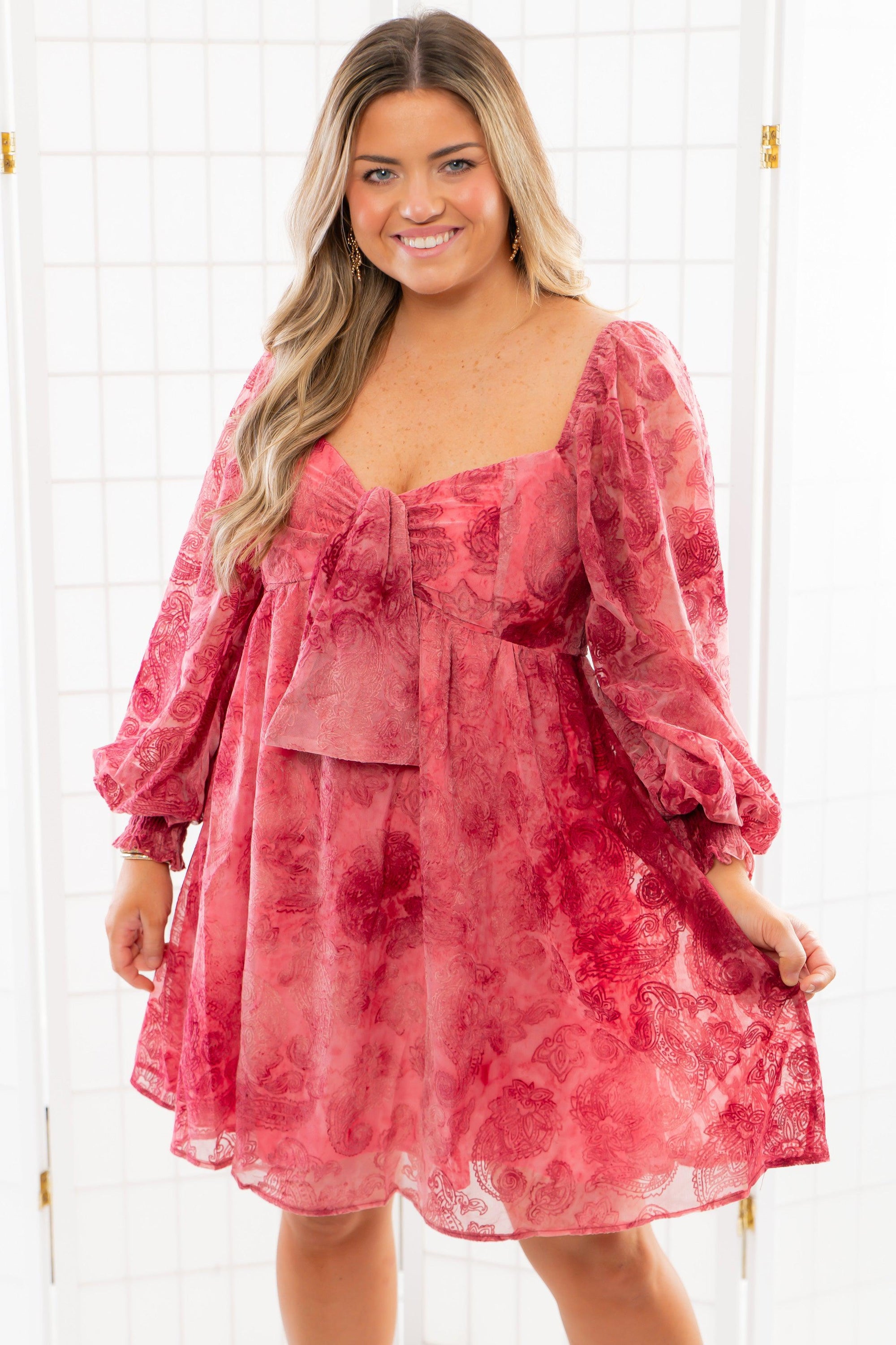 Paisley Berry Burnout Velvet Mini Dress-Dresses-Fate-L. Mae Boutique & Wild Mabel Clothing