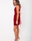 Winter Rose Velvet Bow Mini Dress