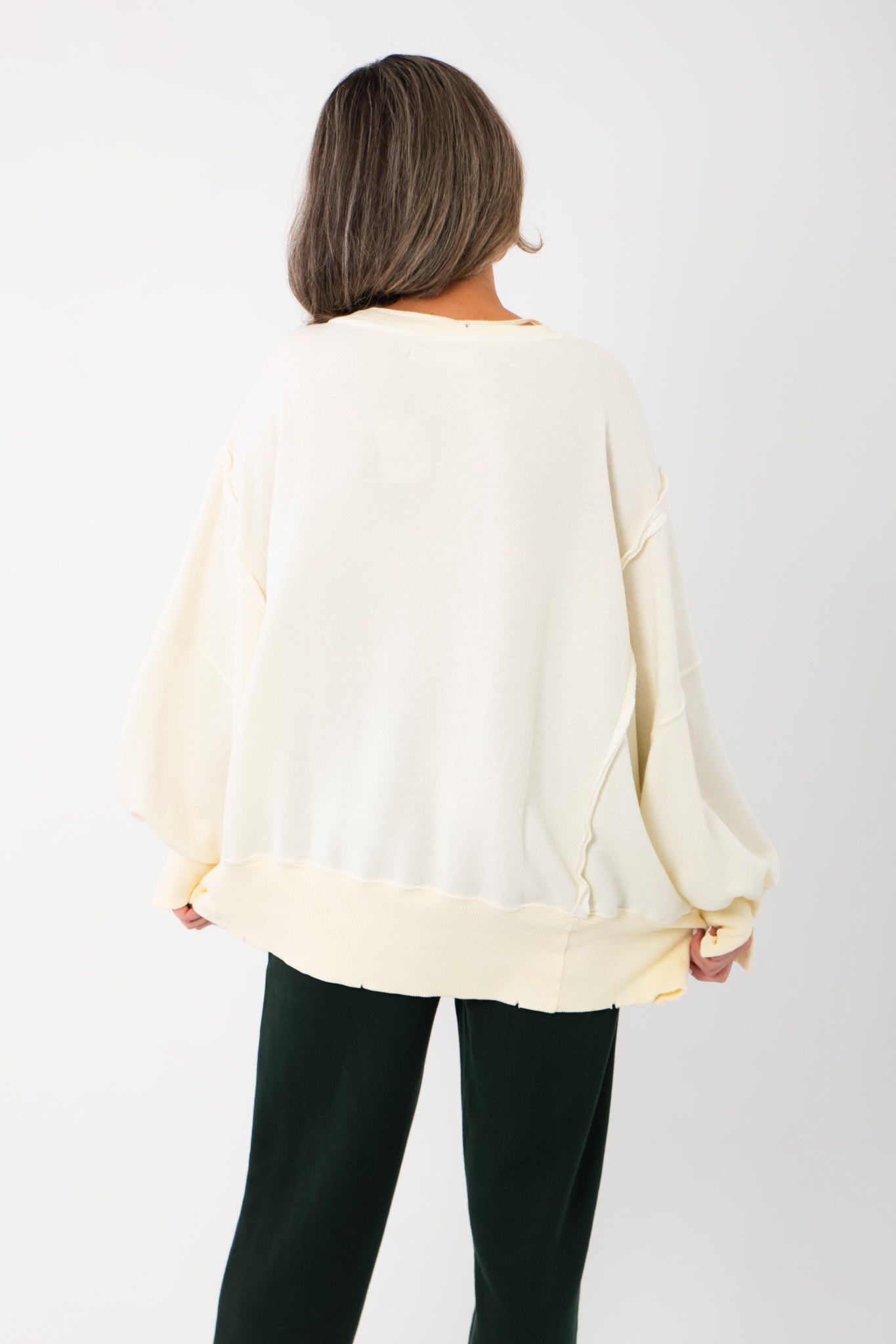 Free People Sardine Combo Camden Graphic Pullover